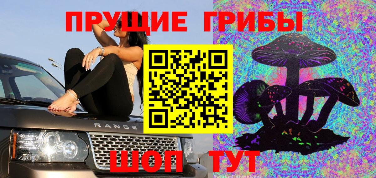 Галлюциногенные грибы прущие грибы Сорочинск