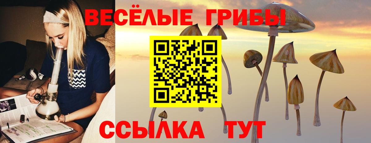 Сорочинск  Галлюциногенные грибы MAGIC MUSHROOMS  Вход с VPN 